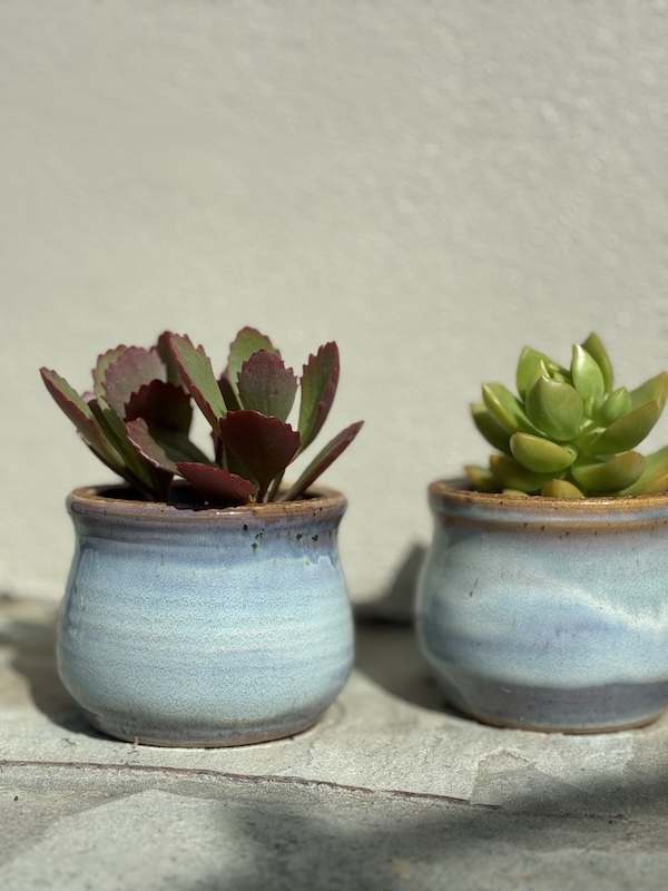 2 small blue succulent planters